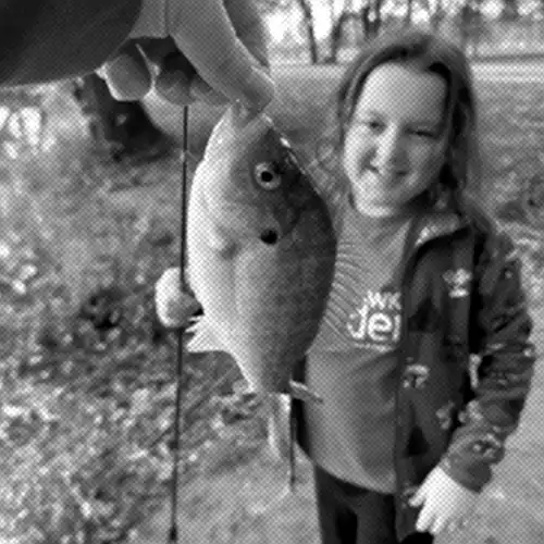 Ava catching a Bluegill.